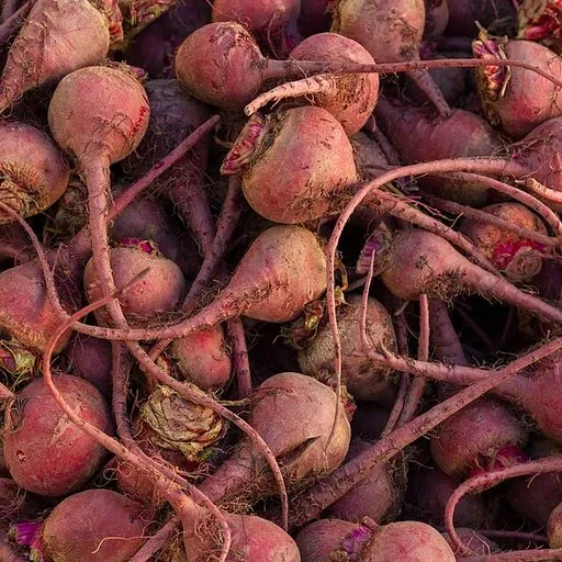 Beetroot