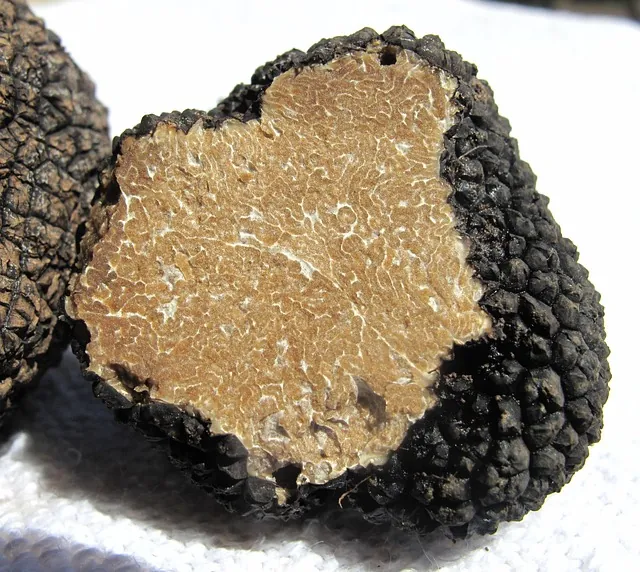Truffe noire
