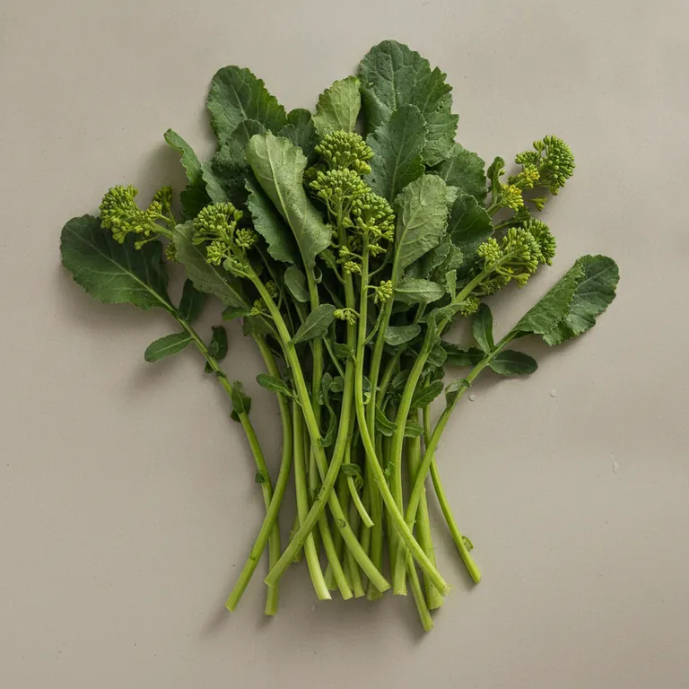Cime di rapa