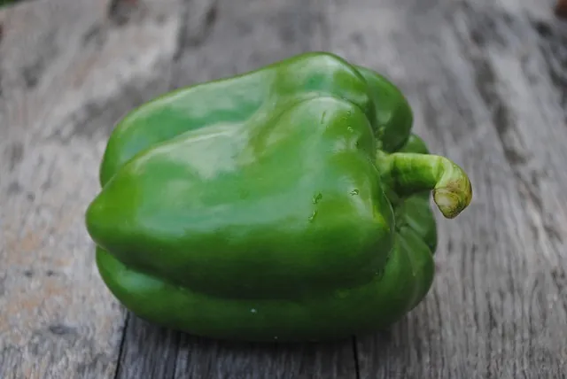 Poivron vert