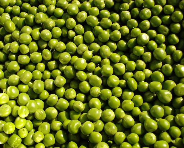 Pea