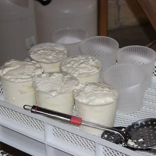 Ricotta