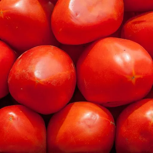 Tomate