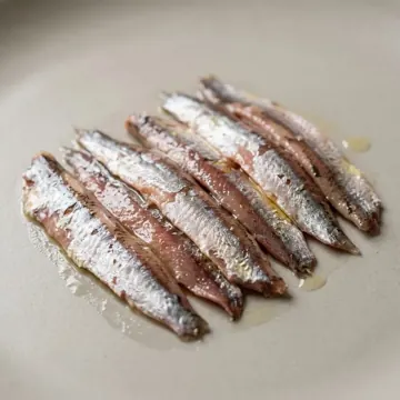 Anchovy