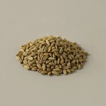 Anise