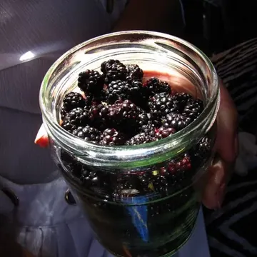 Blackberry