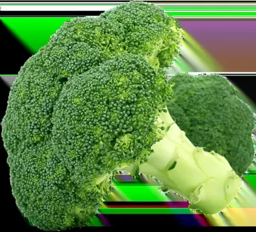 Broccoli