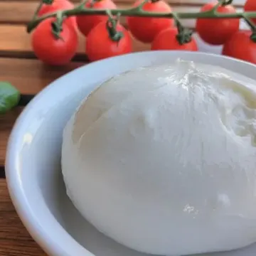 Burrata