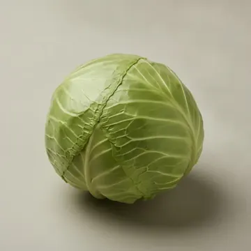 Cabbage