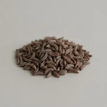 Caraway
