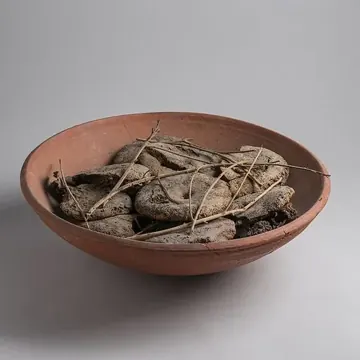 Carob