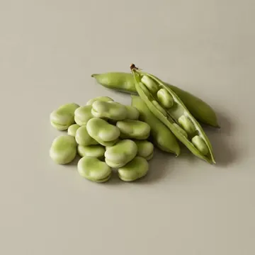 Fava bean