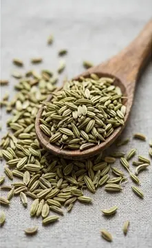 Fennel seed