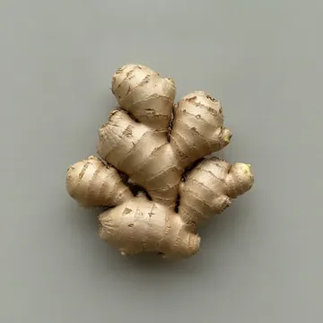 Ginger