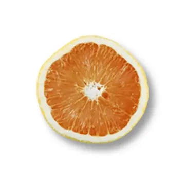 Grapefruit