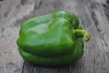 Green bell pepper