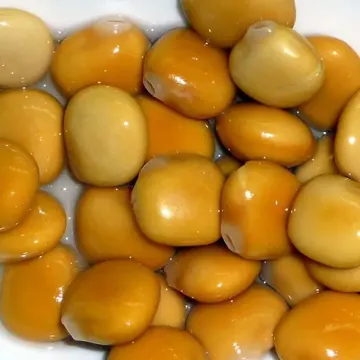 Lupin bean