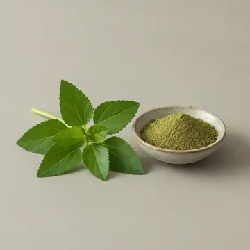 Molokhia