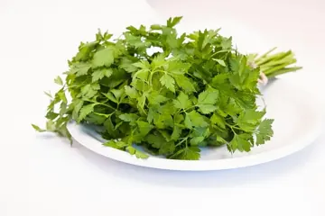Flat-leaf parsley
