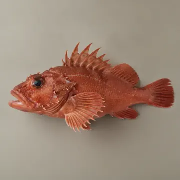 Cabracho