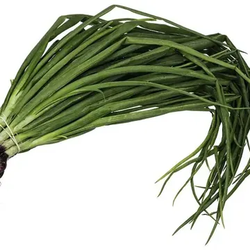 Spring onion