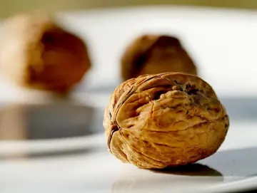 Walnut