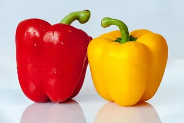 Yellow bell pepper
